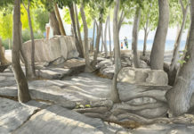 Find a masterpiece on Toledo Artists’ Club website