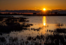 TSO pays tribute to the Metroparks