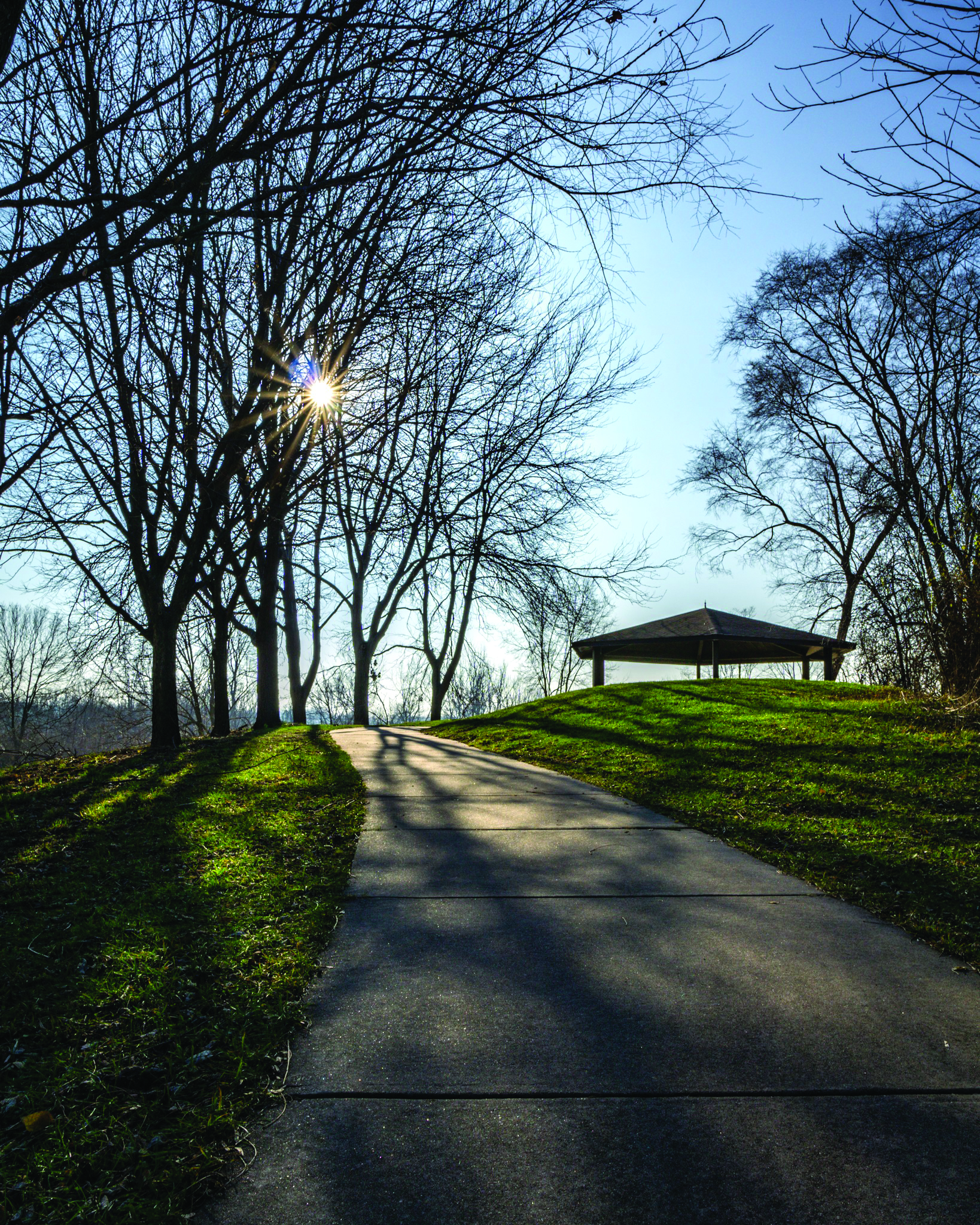 Bicyclists Find Many Paths To Traversing The Local Landscape