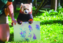 Local Art Notes July 2021