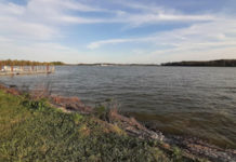 Why were local water improvement projects dropped?