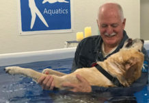 PetMassage Helps Dogs Through Aquatic Massage Therapy