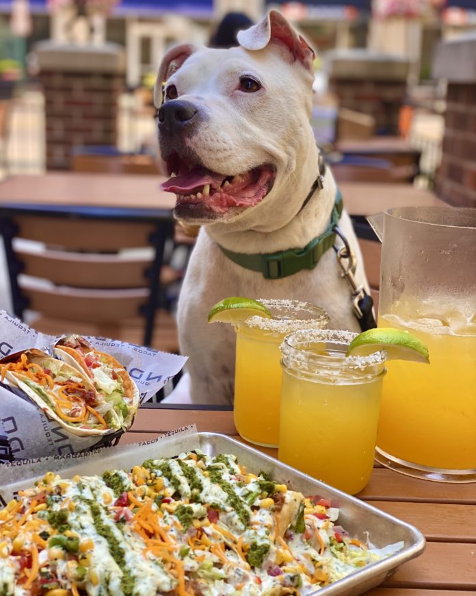 6-1 PATIO GUIDE - Condado Taco 2