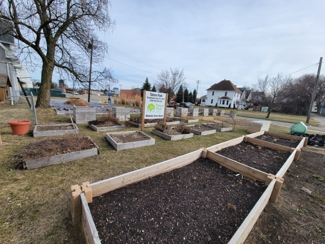 Raised garden beds at Tatum Park