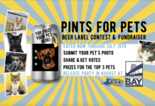pints for pets poster