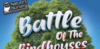 Battle of the Birdhouses