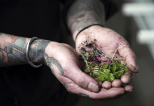 man holding plants
