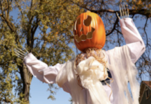 Pumpkin scarecrow
