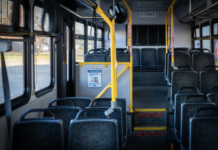 tarta bus