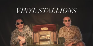 Vinyl Stallions