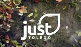 Just Toledo's logo.
