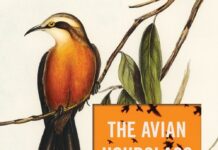 The Avian Hourglass by Lindsey Drager