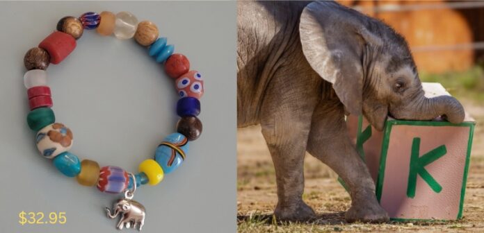 The left side displays a colorful bracelet with an elephant charm attached along with the price at the bottom left corner. The right side of the photo shows a calf elephant, Kirkja with a letter 