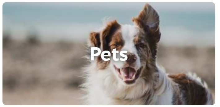 Pets Category