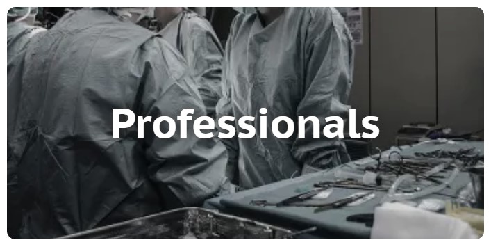 Professionals Category