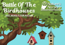 Nature’s Nursery Battle Of The Birdhouses Returns
