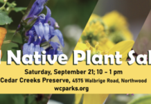 Buy Native Plants For Your Garden At Wood County Park District’s Fall Native Plant Sale Fall Native Plant Sale