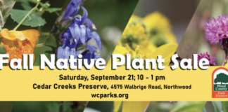 Fall Native Plant Sale