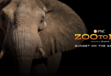 Toledo’s Zoo Hosts Biggest Night Of The Year, Annual ZOOtoDO Toledo Zoo's biggest night of the year