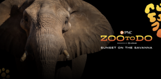 Toledo Zoo's biggest night of the year