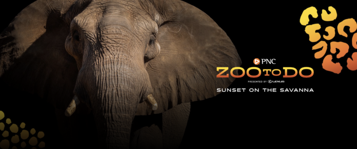 Toledo Zoo's biggest night of the year