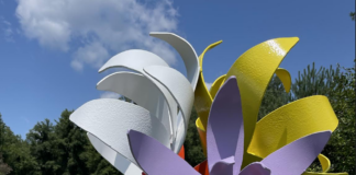 "Hens & Chicks" by Pam Reithmeier.