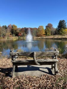 A park bench during fall time with a water fountain in the background.