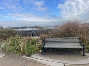 A bench in front of Lake Erie with a shrub of bushes behind it.