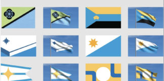 flag designs
