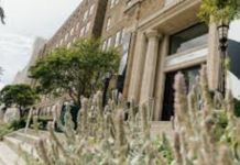 mercy college of Ohio