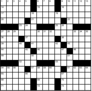 crossword puzzle