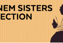 City Pages: The Steinem Sisters Collection Book Club steinem sisters collection
