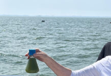 Cruising for Lake Erie to End the Harmful Algal Blooms Lake Erie Water Sample