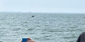 Lake Erie Water Sample