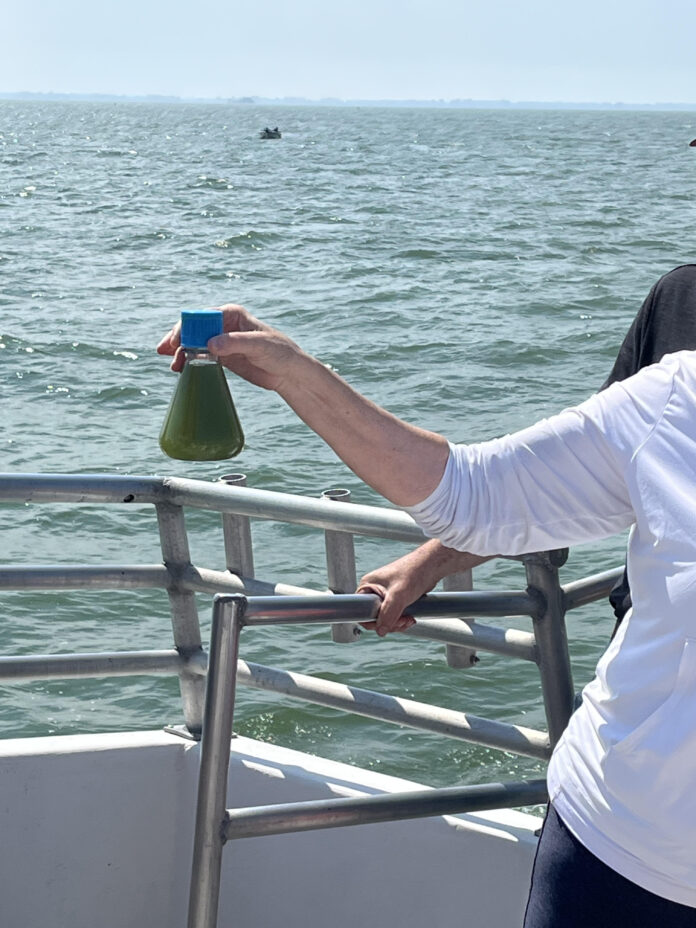 Lake Erie Water Sample