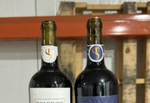 Toledo Wine Share brings visitors into the past