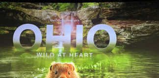 Ohio: Wild at Heart - film