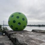 The Ever-Growing Art of Pickleball