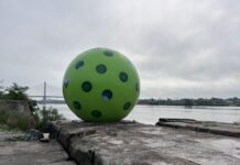 The Ever-Growing Art of Pickleball