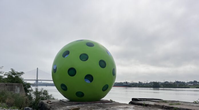 The Ever-Growing Art of Pickleball